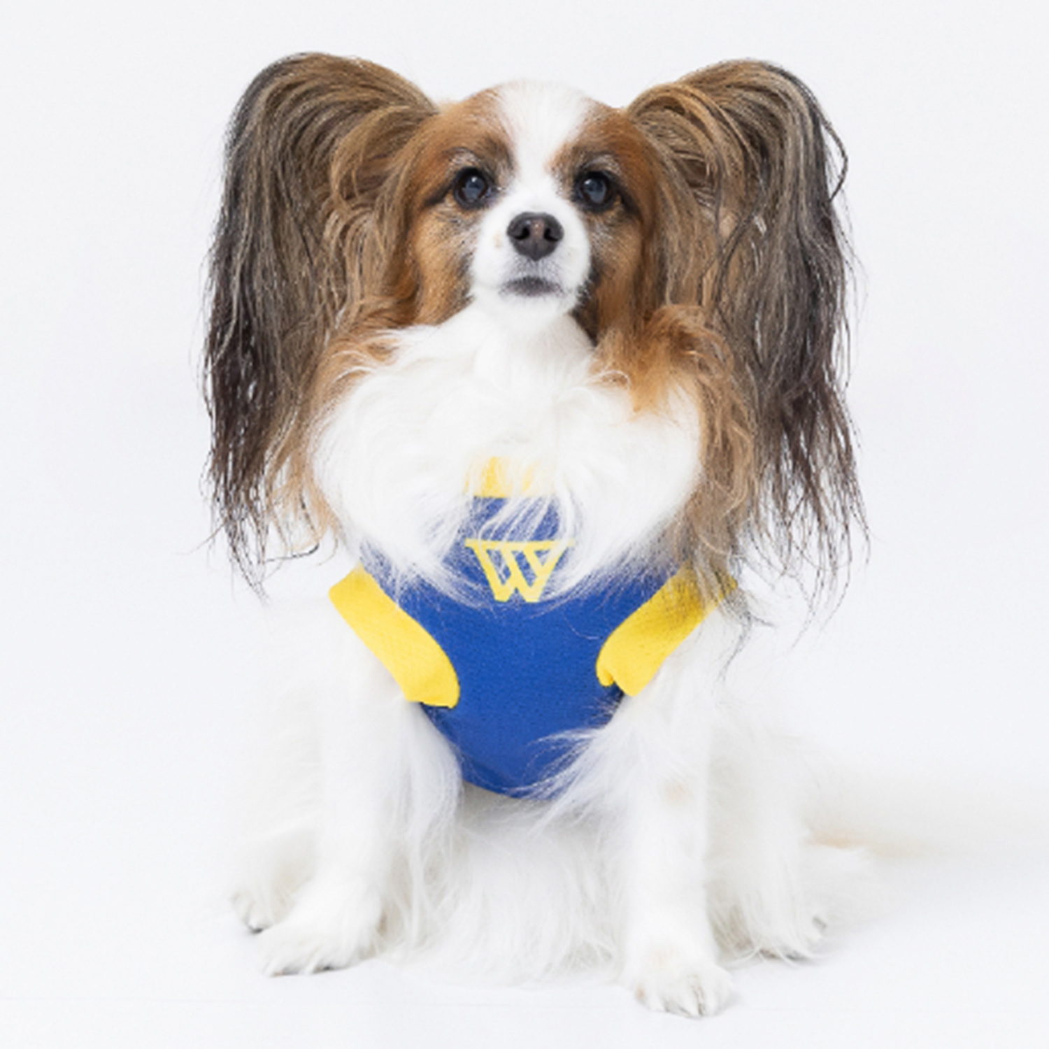 NBA エヌビーエー 犬服 ドッグウェア ペット ジャージー ウォリアーズ