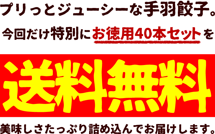 手羽餃子が送料無料