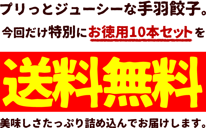 手羽餃子が送料無料