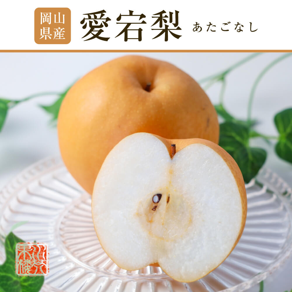 2025 お歳暮 ギフト 岡山県産 あたご梨 秀品 大玉 2玉入り 合計約1.6kg