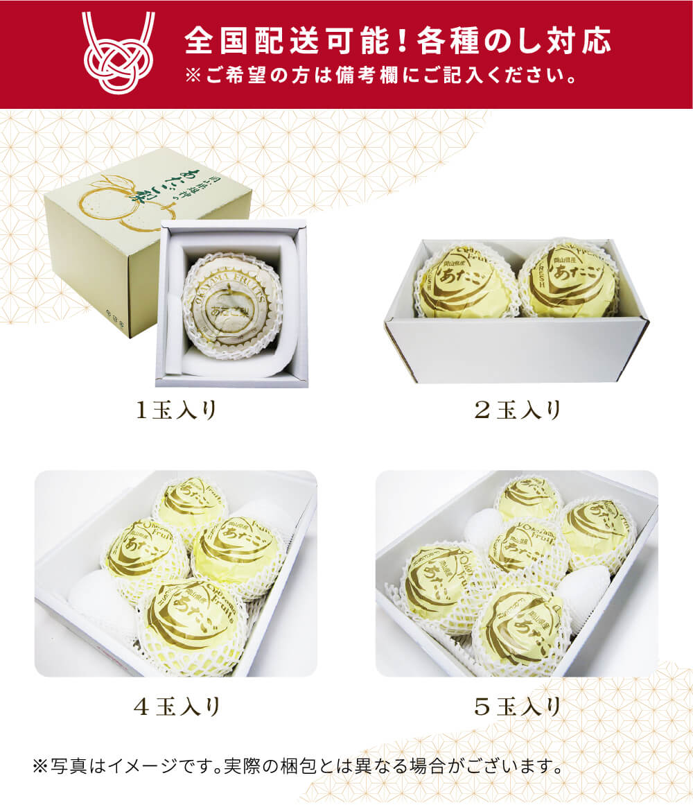 2025 お歳暮 ギフト 岡山県産 あたご梨 秀品 大玉 2玉入り 合計約1.6kg