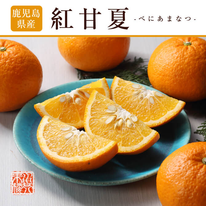夏蜜柑様・専用ページ（3種類アチューンメント） 3月下旬頃より発送) 鹿児島県 獅子島産 紅甘夏 秀品 L〜3Lサイズ