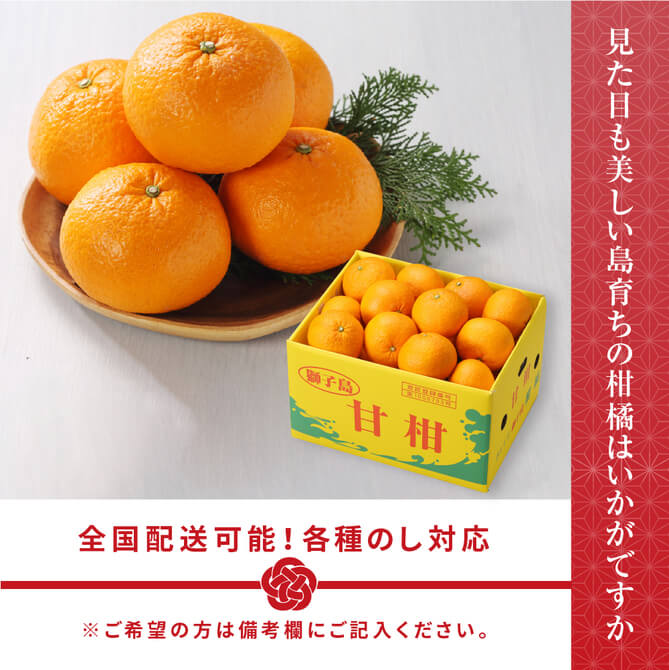 夏蜜柑様・専用ページ（3種類アチューンメント） 3月下旬頃より発送) 鹿児島県 獅子島産 紅甘夏 秀品 L〜3Lサイズ