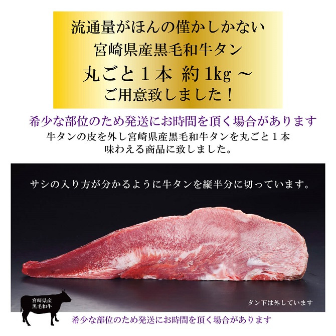 【日本産】 宮崎県産 プレゼント バーベキュー 黒毛和牛 極上 霜降り 牛タン タン