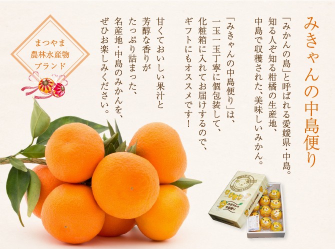 カラマンダリン みきゃんの中島だより 匠と極 12〜15玉 約1.3kg