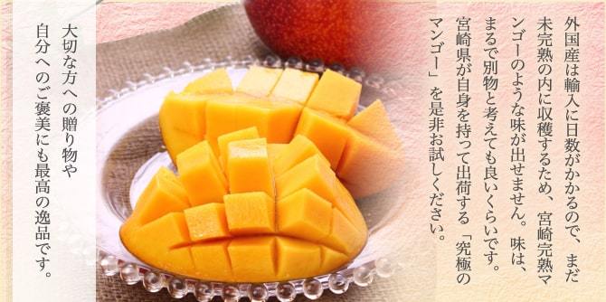 宮崎県産 完熟ミニマンゴー 2kg セール クール便 宮崎県産 完熟ミニマンゴー 2kg クール便 - メルカリ