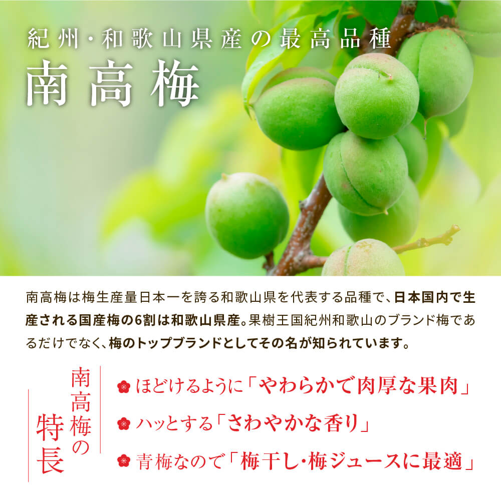 6月上旬ごろより発送) 紀州・和歌山県産 南高梅 秀品 2Lサイズ 約10kg