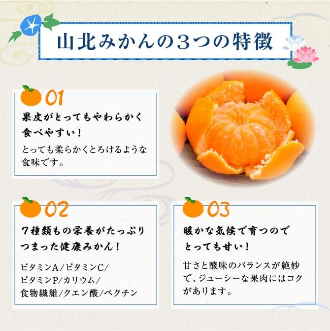 高知産　温室山北みかん 　約５Kg　 3Sサイズ 秀品 楽天市場】ハウスみかん 山北みかん (約5kg) 高知産 山北温室