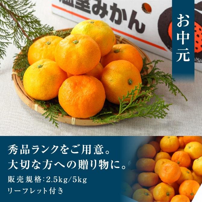 高知産　温室山北みかん 　約５Kg　 3Sサイズ 秀品 楽天市場】ハウスみかん 山北みかん (約5kg) 高知産 山北温室