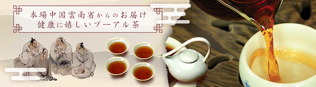 プーアル茶専門店翠康園茶屋 - Yahoo!ショッピング