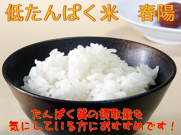 低タンパク質米　春陽　新潟産　令和6年　新米5kgx2袋 楽天市場】低たんぱく米 低タンパク米 春陽 5kg 令和6年新米