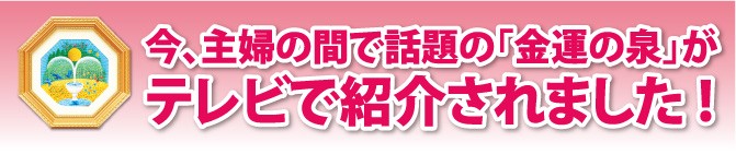 今　主婦の間で話題の金運の泉がテレビで紹介されました。