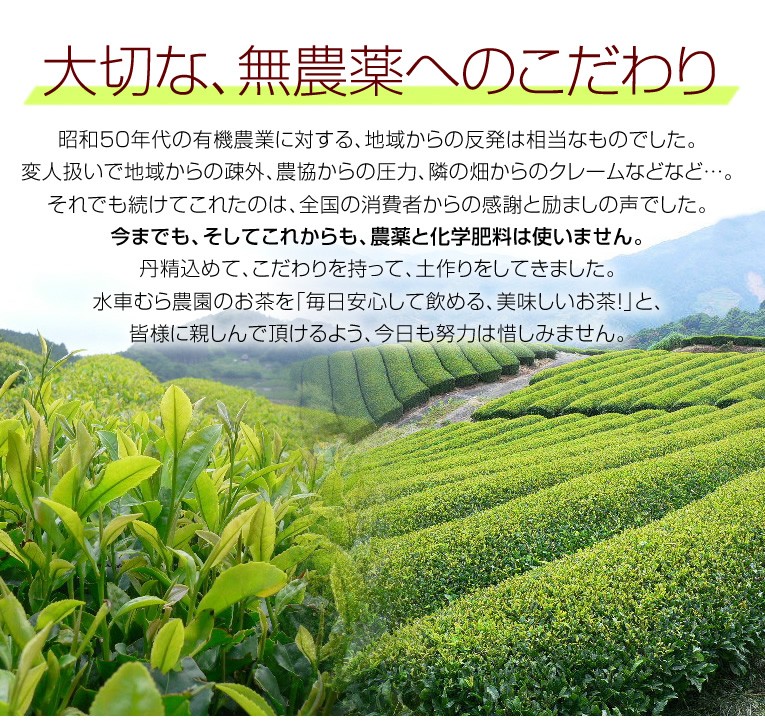 玄米茶200g 国産無農薬 有機玄米と無農薬茶をブレンド!こだわりの逸品 無添加 メール便対応 水車むら農園 緑茶、日本茶 