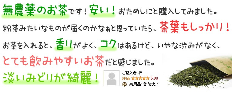 破格値下げ】 煎茶みどり100g 無農薬茶 無添加 静岡産 通販 500円 よりどり３袋ごとお買い上げでメール便送料無料の対象商品  saropackaging.eu