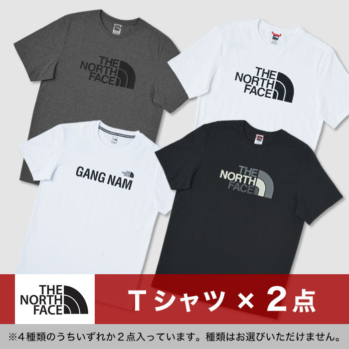 数量限定】ブランド 福袋 5点セット メンズ The North Face Champion Calvin Klein Tシャツ フーディー アウター  フリース :FUKU50000A:スーツスタイルMARUTOMI - 通販 - Yahoo!ショッピング