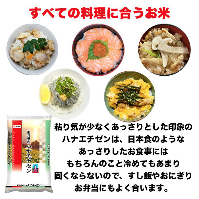 新米 令和4年産 福井県産 ハナエチゼン 5kg×2袋 10kg 米 お米 白米 おこめ 華越前 精米 単一原料米 ブランド米 10キロ 送料無料  国内産 国産 :fh10:いい買い物本舗 - 通販 - Yahoo!ショッピング