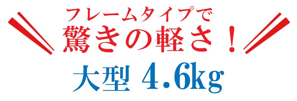 驚きの軽さ大型
