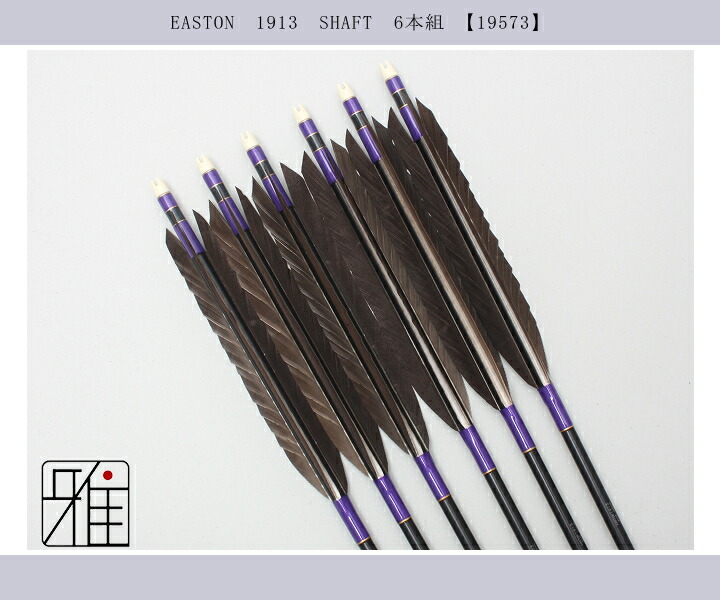 弓道 矢 青色6本・赤色1本 イーストン XX75 1913 計7本 ケース付き