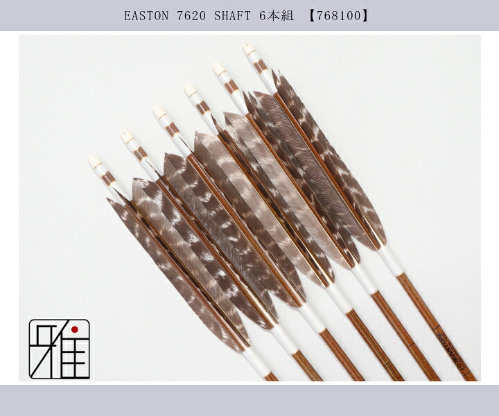 弓道 イーストン カーボン矢 ターキートラ斑 7620|6本組|矧糸:白系|翠