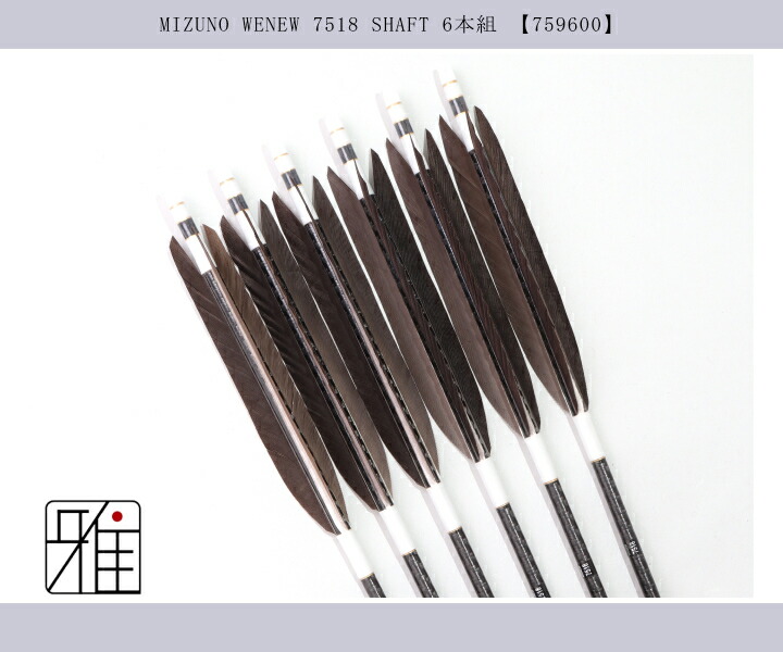 弓道 ミズノ カーボン矢 黒手羽 WENEW 7518|6本組|矧糸:白系|翠山弓具