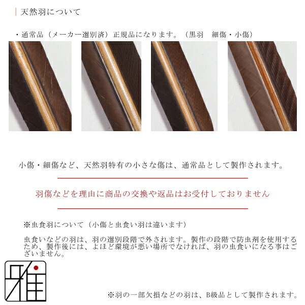 弓道 ミズノ カーボン矢 黒手羽 WENEW 7518|6本組|矧糸:青系|翠山弓具
