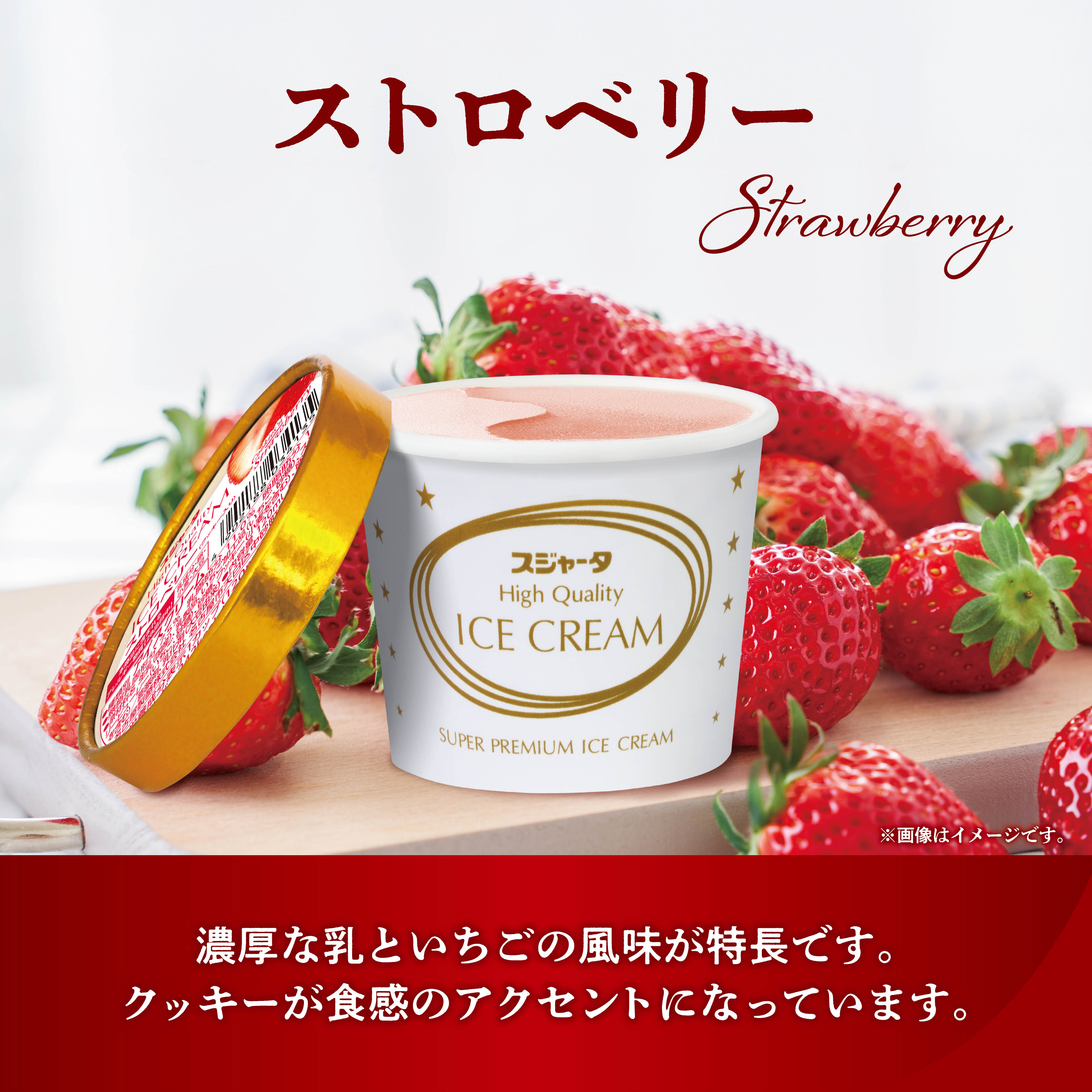 スジャータめいらく ギフト スゴイカタイアイス 選べるスジャータハイ