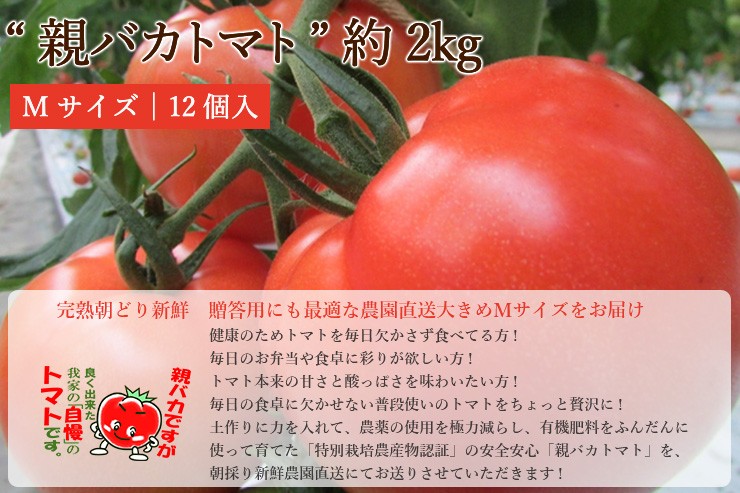 親バカトマト 助川農園