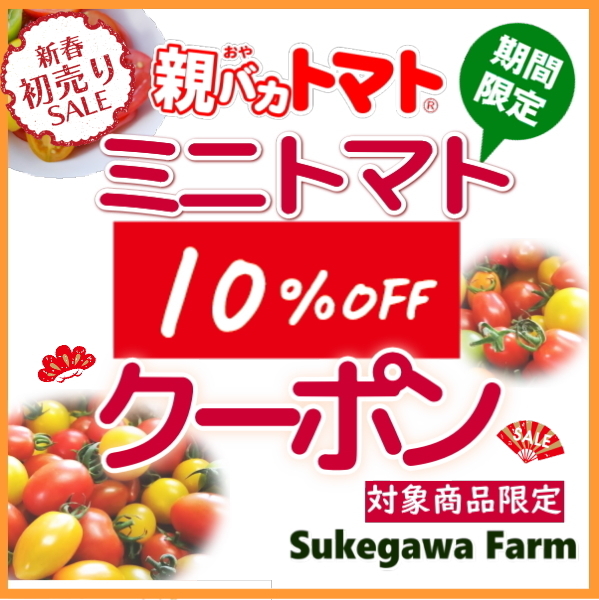 ミニトマト新春セール3日間限定１０%オフクーポン