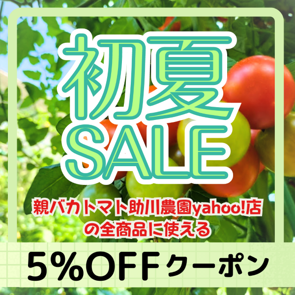 【親バカトマト初夏セール!】5％ＯＦＦクーポン
