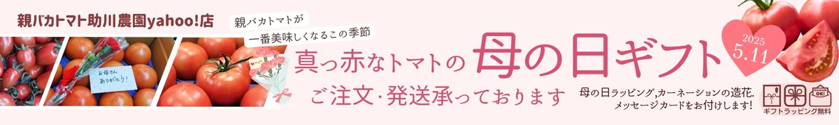 親バカトマト 助川農園Yahoo!店 ヘッダー画像