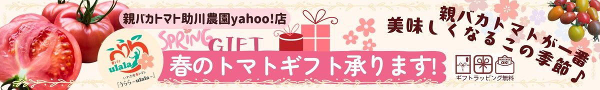 親バカトマト 助川農園Yahoo!店 ヘッダー画像