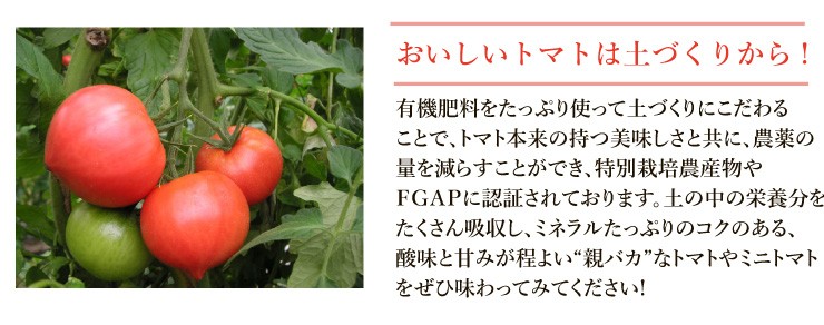 親バカトマト 助川農園