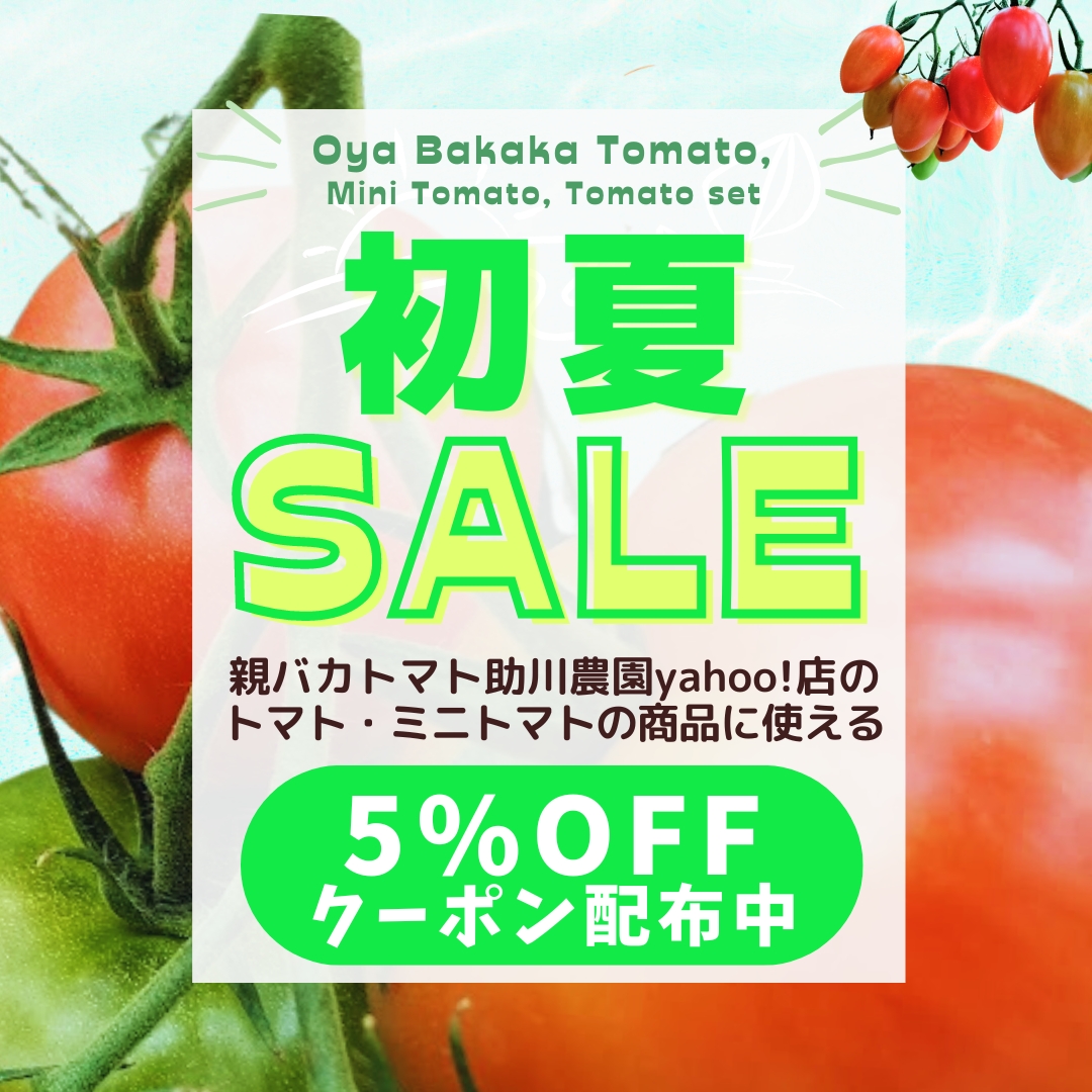 【親バカトマト初夏セール!】5％ＯＦＦクーポン