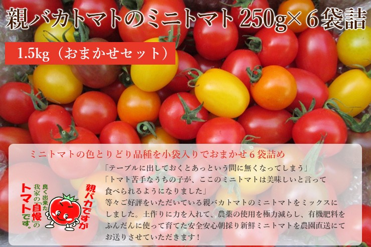 親バカトマト 助川農園