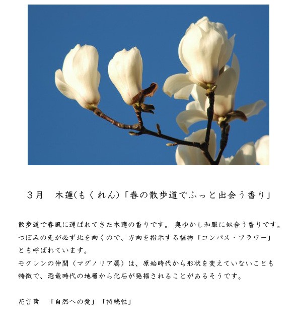 嗅ぐ楽しみ 木蓮 モクレン フラワー付ボトル 花束風パッケージ お誕生日 プレゼント 日本製香水 香水フレグランス 香水レディース Mokuren10 Sukinahi 通販 Yahoo ショッピング