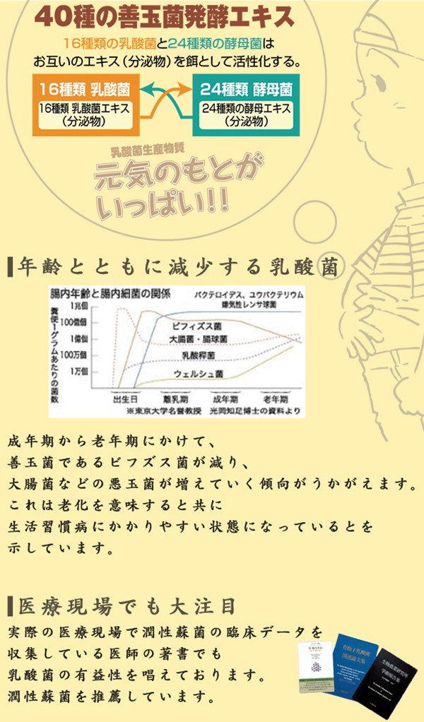 40冊まとめ　乳酸菌生成物質とは 40冊まとめ 乳酸菌生成物質とは
