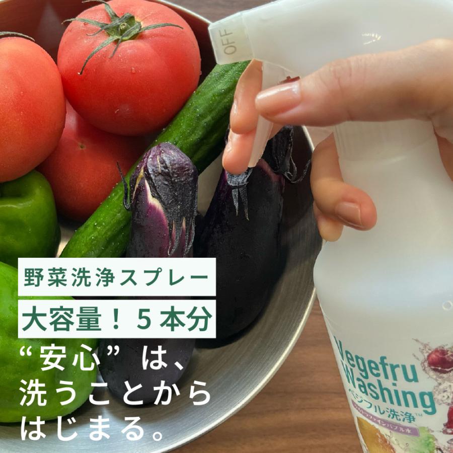 超PayPay祭セール】野菜 洗浄 果物 アルカリ電解水 残留農薬 除去