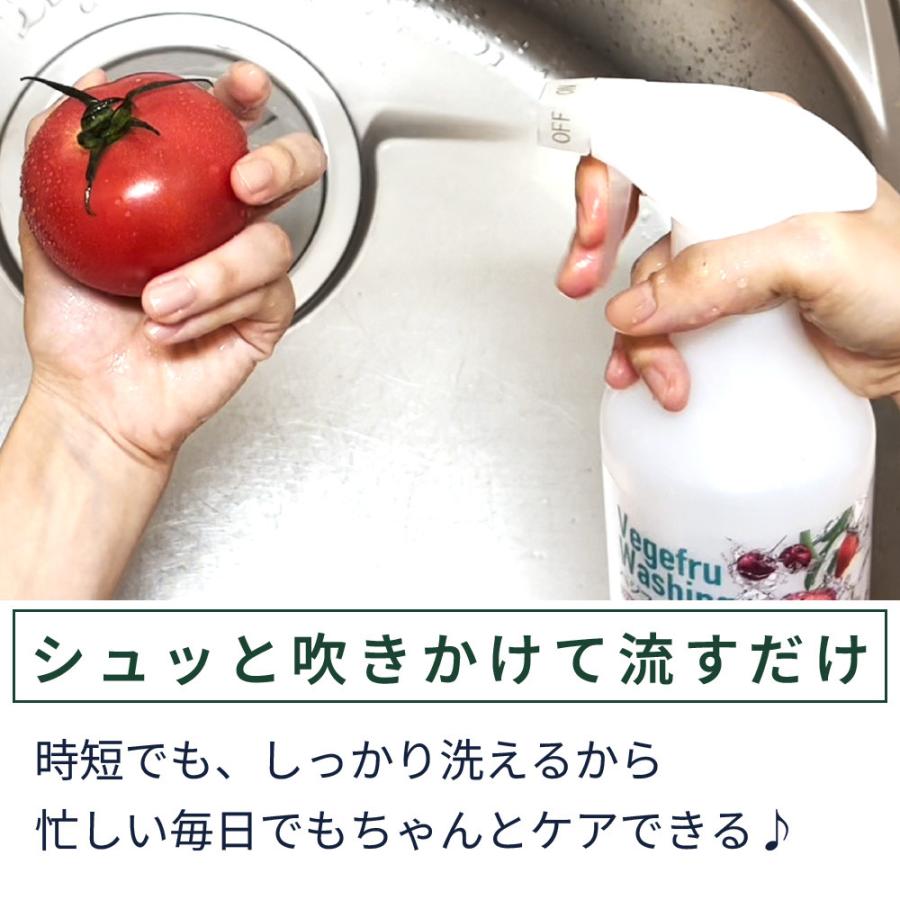 野菜 洗浄 果物 アルカリ電解水 残留農薬 除去 ウルトラファインバブル