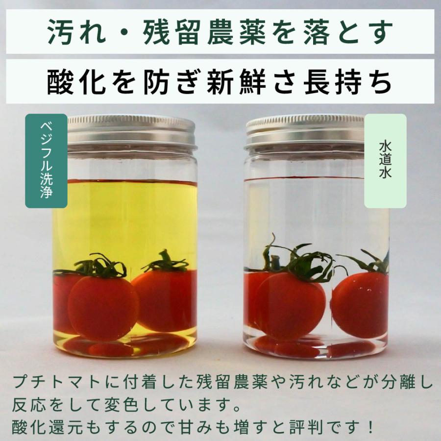 野菜 洗浄 果物 アルカリ電解水 残留農薬 除去 ウルトラファインバブル