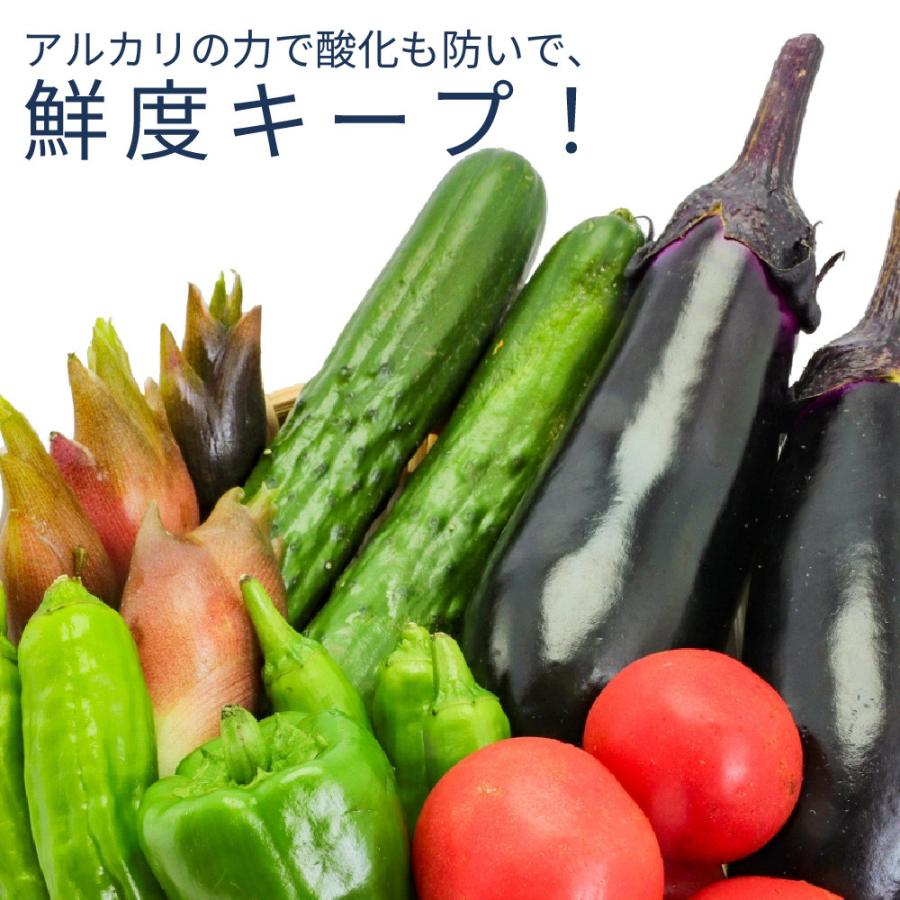 野菜 洗浄 果物 アルカリ電解水 残留農薬 除去 ウルトラファインバブル