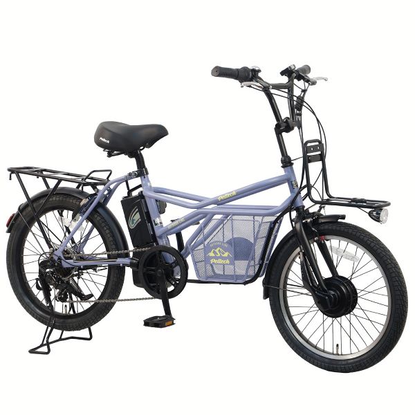 PELTECH（ペルテック） (100%完成納品)電動自転車 ミニベロ 電動