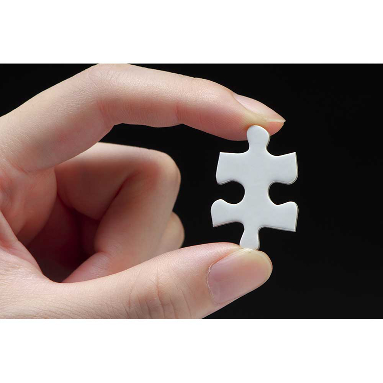 ジグソーパズル 300ピース 無地 26×38cm 真っ白 宇宙飛行士 試験 忍耐