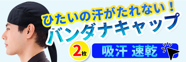 ヘルメットインナー 2枚