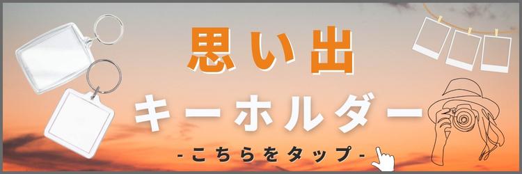 思い出 キーホルダー ハメパチ