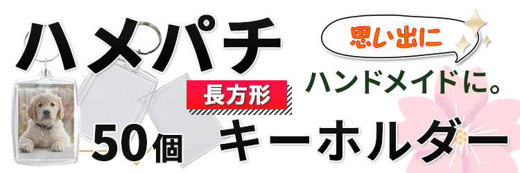 ハメパチ 長方形の50個セット