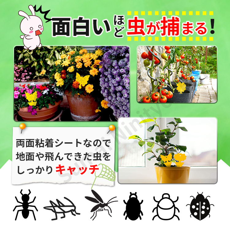 虫取りシート 捕虫 粘着シート 40枚セット 黄色 簡単取付 虫獲り 両面テープ 害虫捕獲 害虫対策用品 強力 両面粘着性 虫とり 害虫対策用品 :  musitori-goi : 住まいの日用品 - 通販 - Yahoo!ショッピング