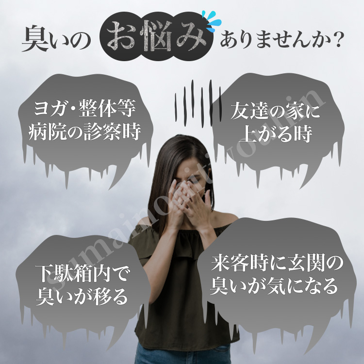 竹炭袋
