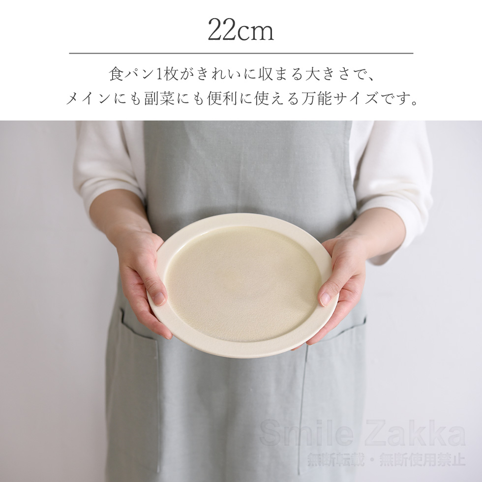 アーネスト DeepBreath 22cm(8.5インチプレート) 信楽焼 陶器 お