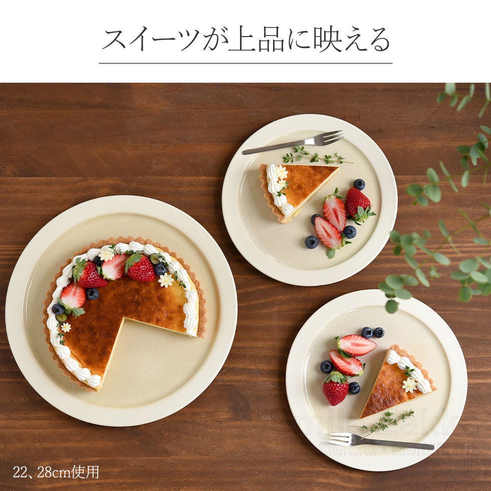 横幅約59㎝の大長方皿 共箱付き Amazon｜cerapockke 吹墨十草 三角大皿 22.5cm 国産 美濃焼 8寸