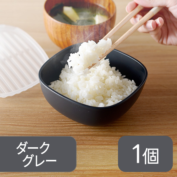 アーネスト（Arnest） 冷凍ごはん容器 1個 ホワイト 食洗機対応 電子